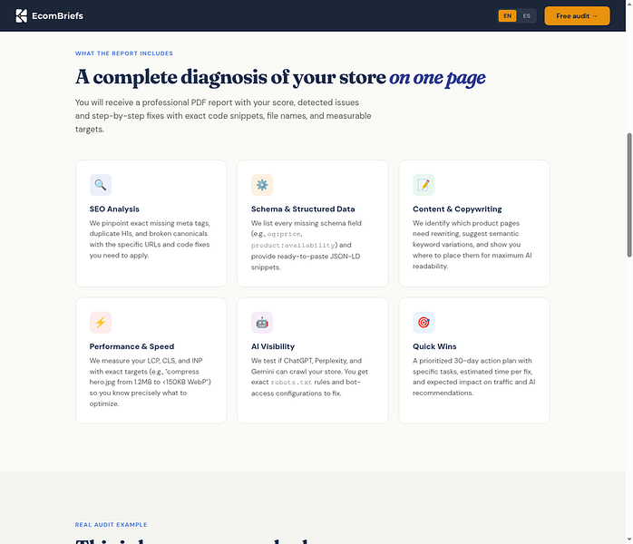 EcomBriefs – Audits e-commerce stores for AI visibility in ChatGPT and Perplexity visual 4
