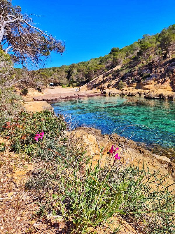 A man and a woman hiking through a forest trail with autumn foliage.