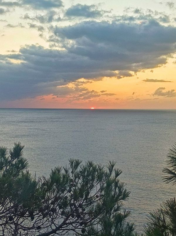 A serene sunset over the ocean with clouds and silhouetted foliage in the foreground.
