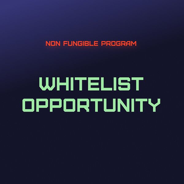 Non Fungible Program | NFT Whitelist