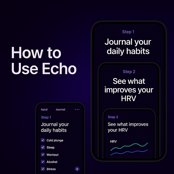 Echo