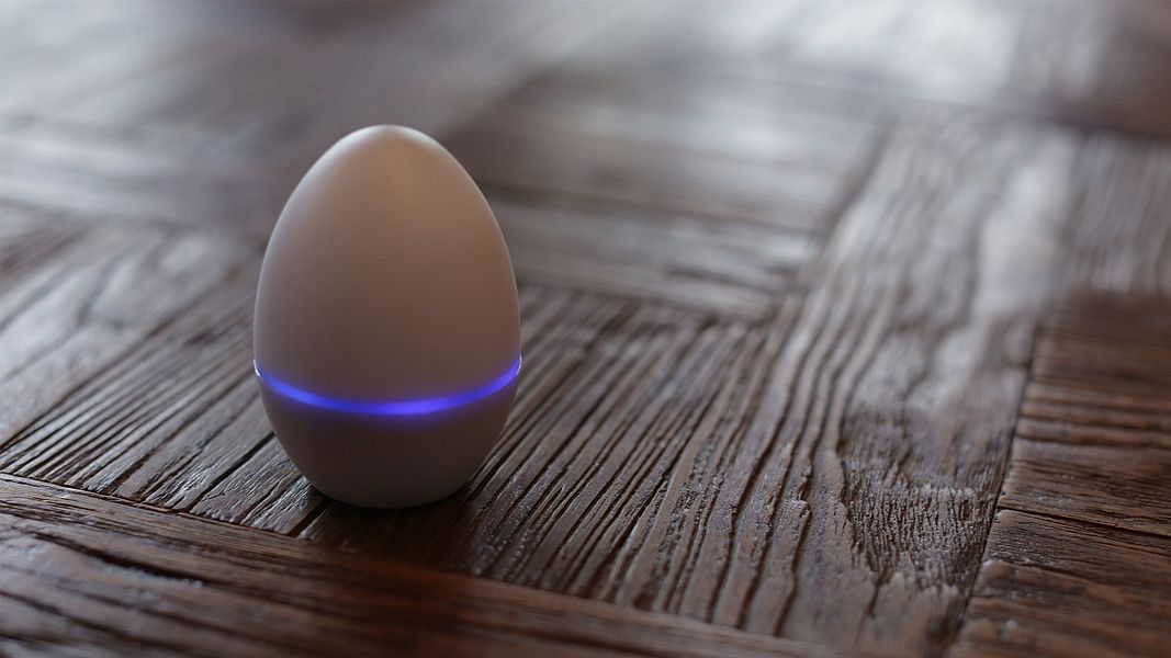 Smart Egg