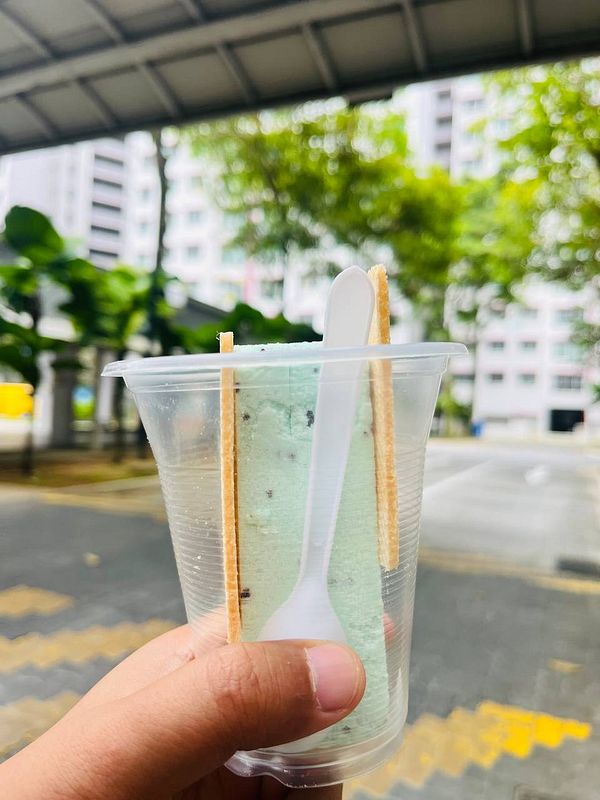 A hand holds a cup of mint chocolate chip ice cream with a spoon and wafer sticks.