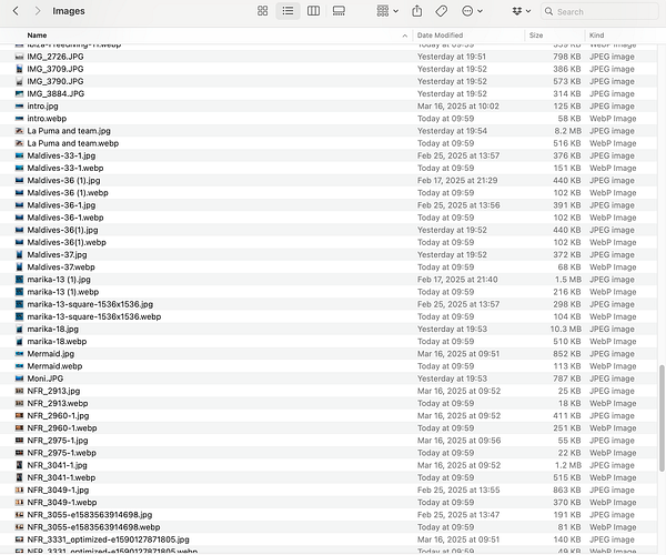 A file directory displaying various image files in different formats, including JPEG and WebP.