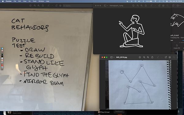 A workspace featuring a whiteboard with notes on cat behaviors and puzzle tests, alongside images of glyphs and sketches.
