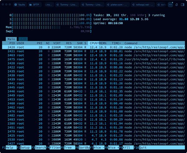 The image displays a terminal interface showing system resource usage and running processes.