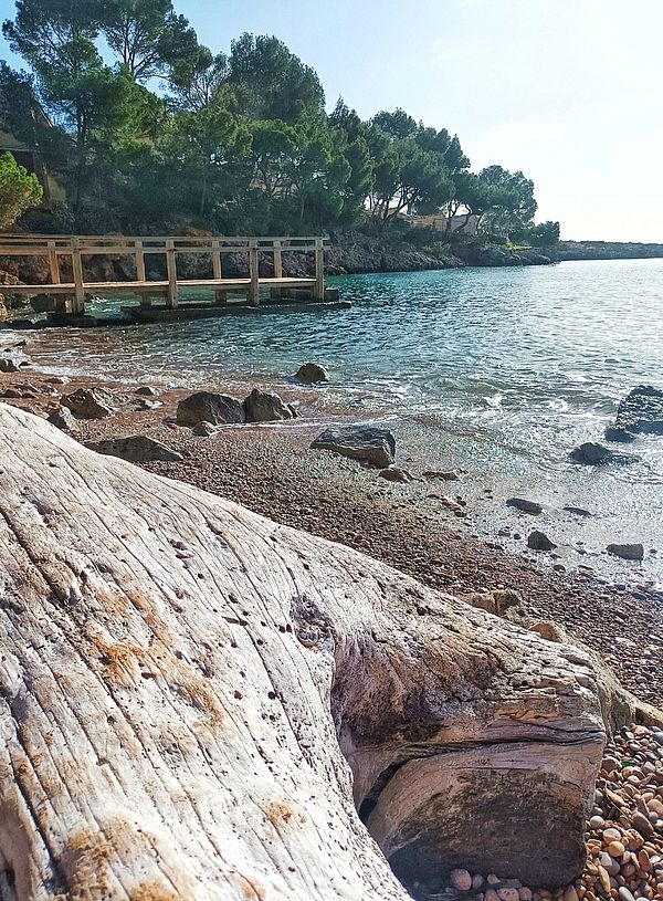 A serene coastal scene featuring a wooden dock, clear water, and a rocky shoreline.
