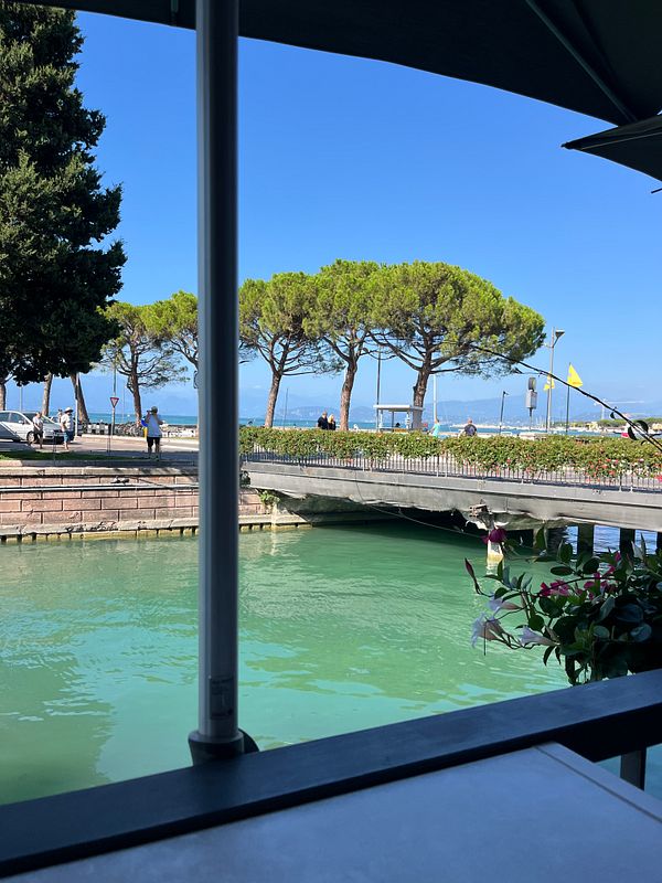 A scenic view of a waterfront area with trees and a clear blue sky.
