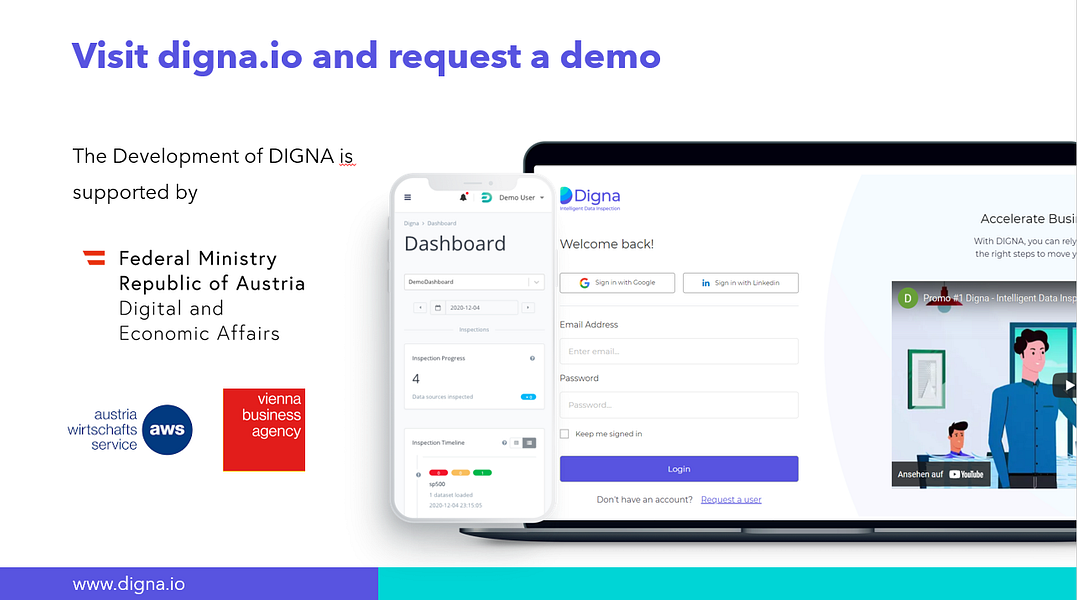 DIGNA - Intelligent Data Inspection