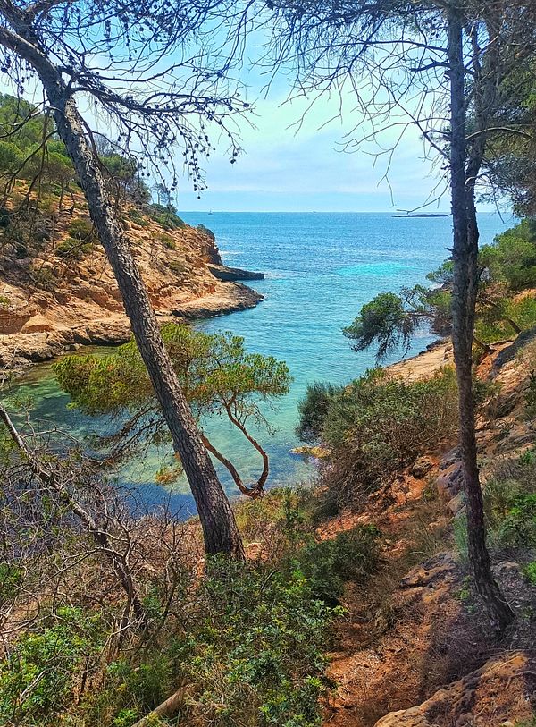 A scenic view of a coastal area framed by trees and vegetation.