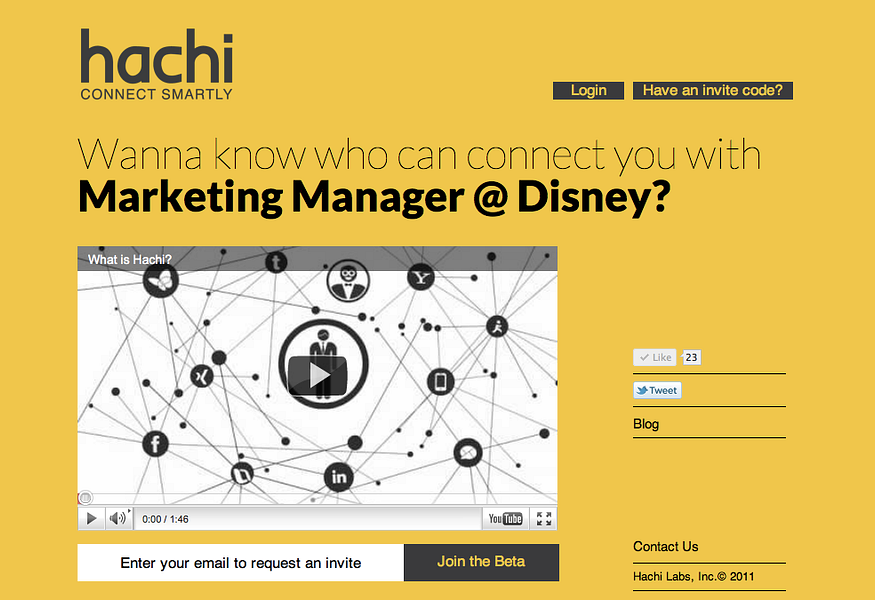 Hachi