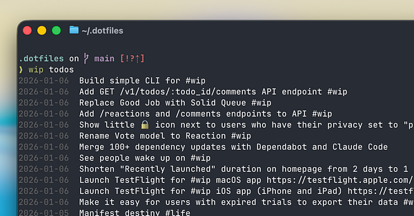 Screenshot of a terminal showing usage instructions for a CLI tool named 'wip'.