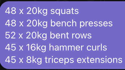 A workout plan detailing various exercises and their repetitions with weights.