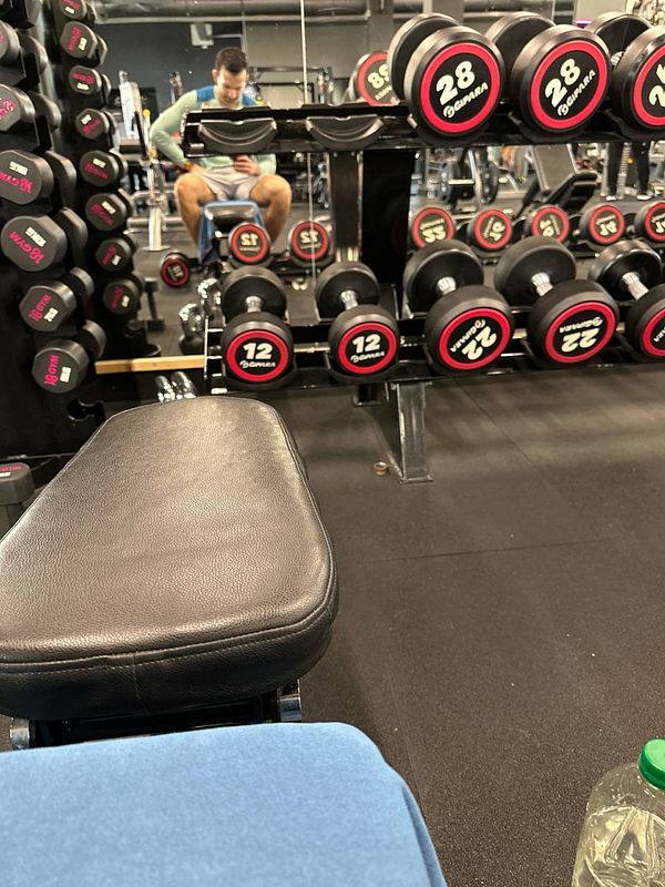 A gym scene featuring dumbbells and a person sitting on a bench.
