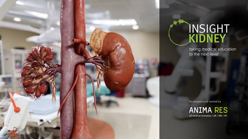 Screenshot of INSIGHT KIDNEY