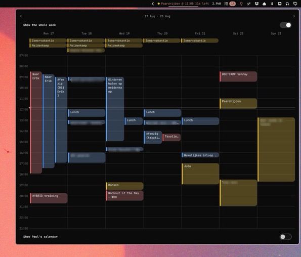 Screenshot of a plugin management interface showing plugins for Omarchy in Vibe coding environment.