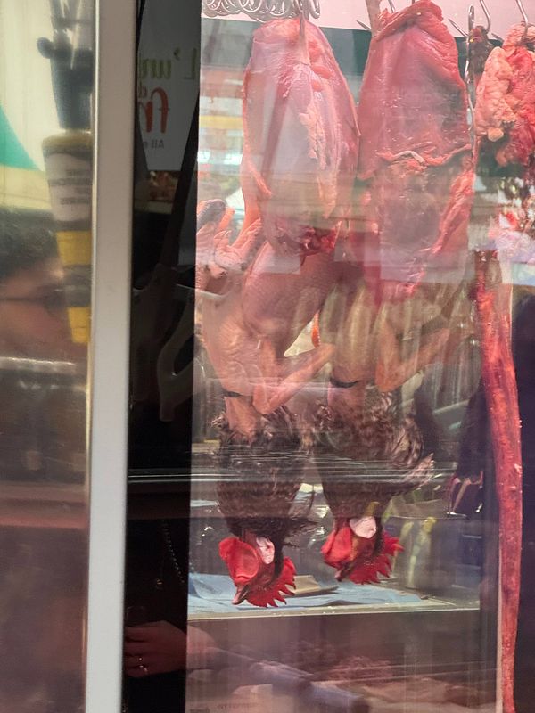 A butcher shop window display in Paris showcasing hanging cured meats and various products with signs in French.