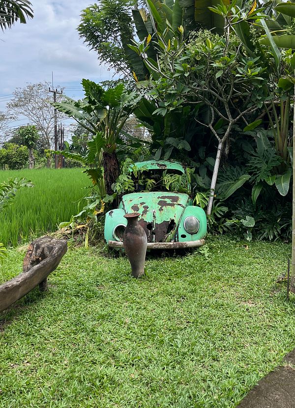 An old, rusted green car is partially hidden among lush greenery in Ubud.