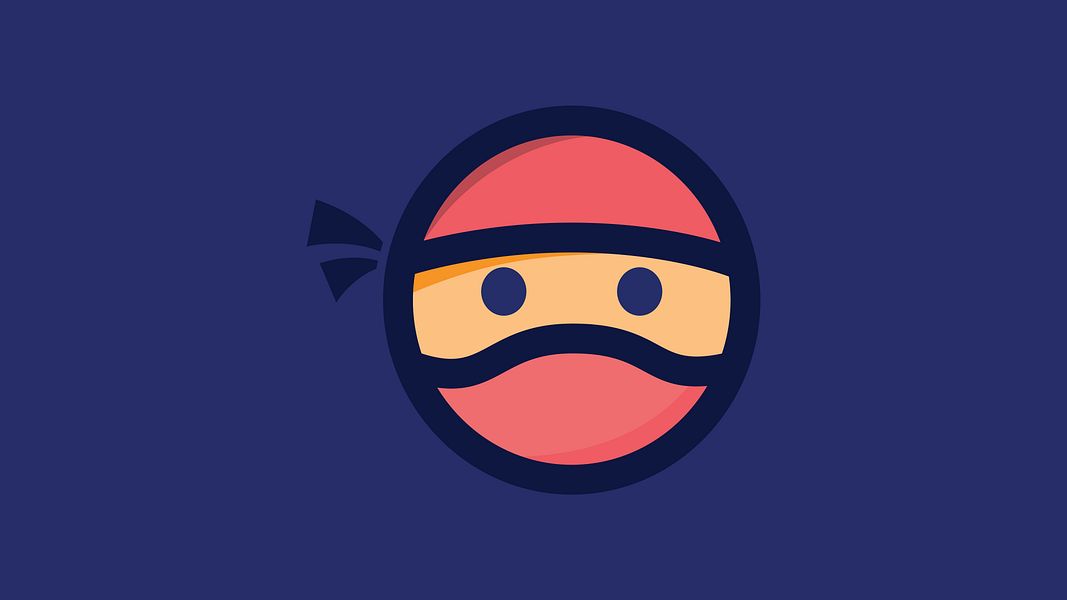 Super Data Ninja