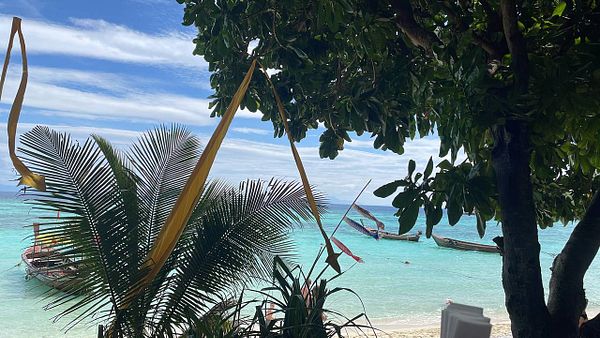 A serene beach view featuring palm trees and traditional boats in clear turquoise water.