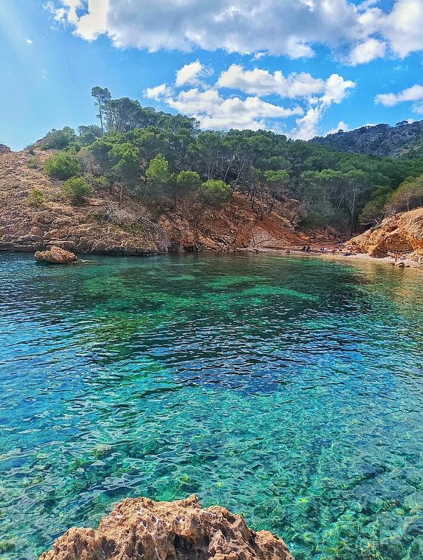 A serene coastal scene featuring clear turquoise waters and lush greenery.