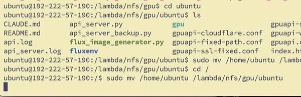 A terminal interface displaying commands and file listings related to moving GPU API files.