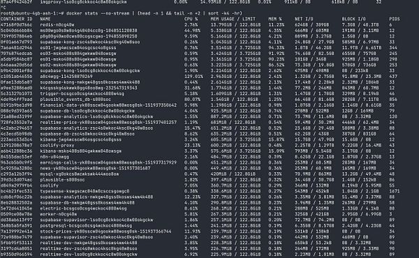 The image displays a terminal output showing Docker container statistics.