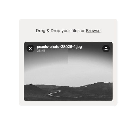 A file upload interface displaying a black and white landscape image.