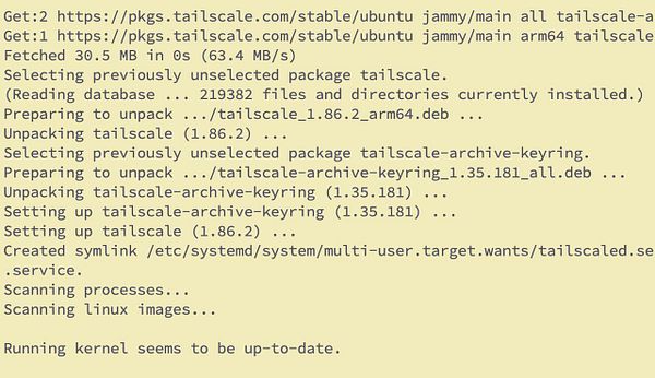 The image displays a terminal output showing the installation process of Tailscale on a VPS.