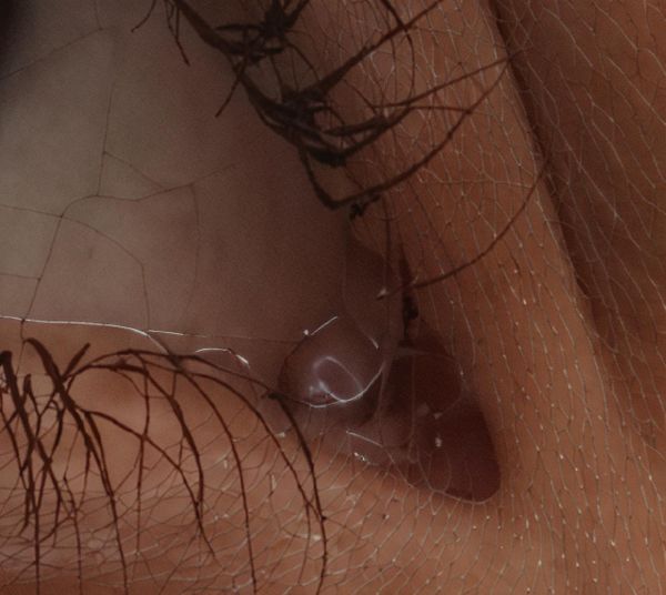 The image features a close-up of a textured surface with intricate details and a web-like pattern.