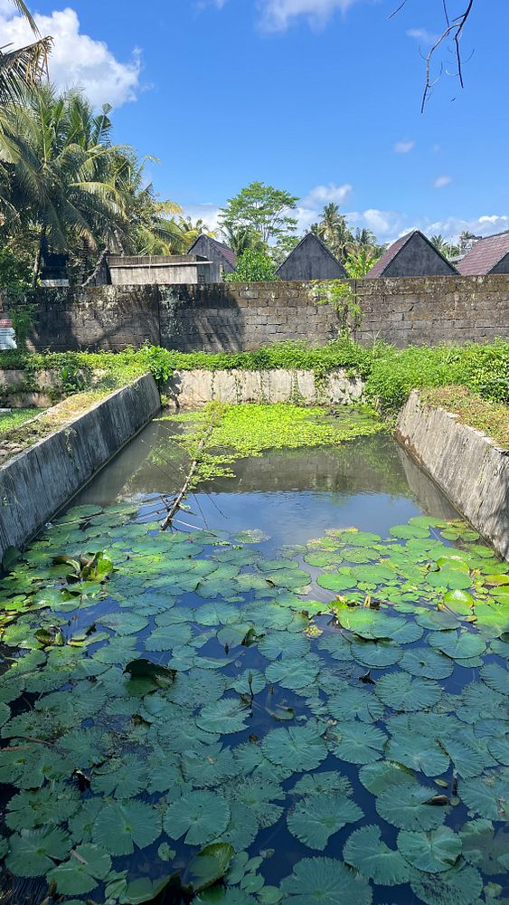A serene waterway filled with lily pads, surrounded by lush greenery and traditional structures.