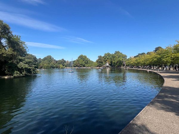 A serene park scene featuring a calm lake surrounded by lush greenery and a clear blue sky.