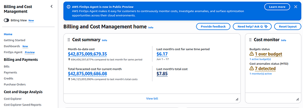Screenshot of AWS Management Console showing usage metrics, billing, and service dashboard.