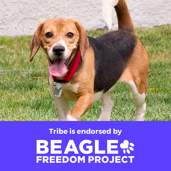 Tribe