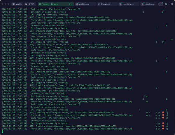 Collage of 18 photos showing groups of people outdoors with correct photo orientation after running an automated fix.
