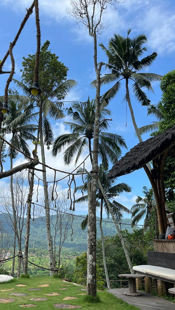 A scenic view of palm trees and lush greenery under a blue sky in Sideman.