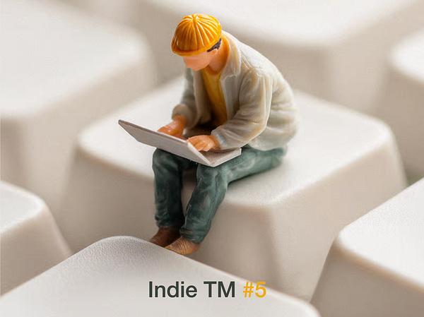 A group photo at Indie TM #5 meetup featuring 16 people outdoors with a blue sky.