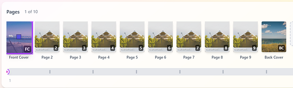 The image displays a digital interface showing a document with a front cover and back cover, along with several pages in between.