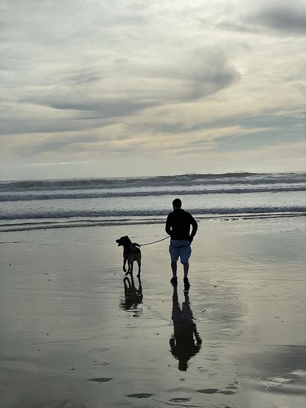 A person walks a large dog along a beach at sunset.