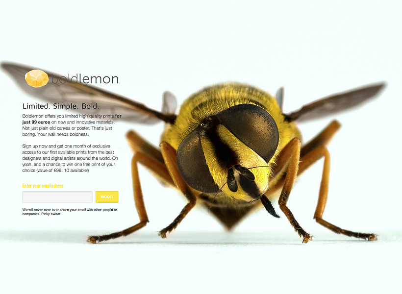 Boldlemon