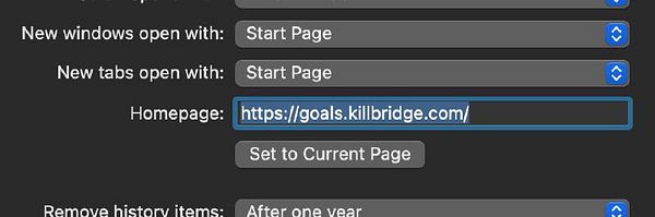 The image displays a browser settings interface for configuring homepage and tab options.