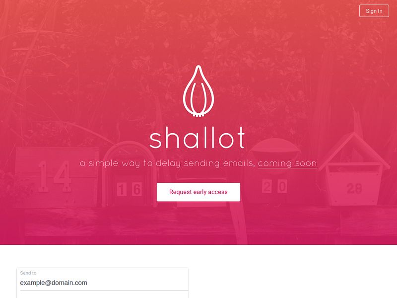 Shallot