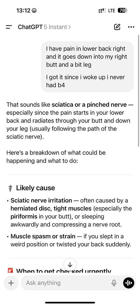 A screenshot of a chat discussing lower back pain and potential causes.