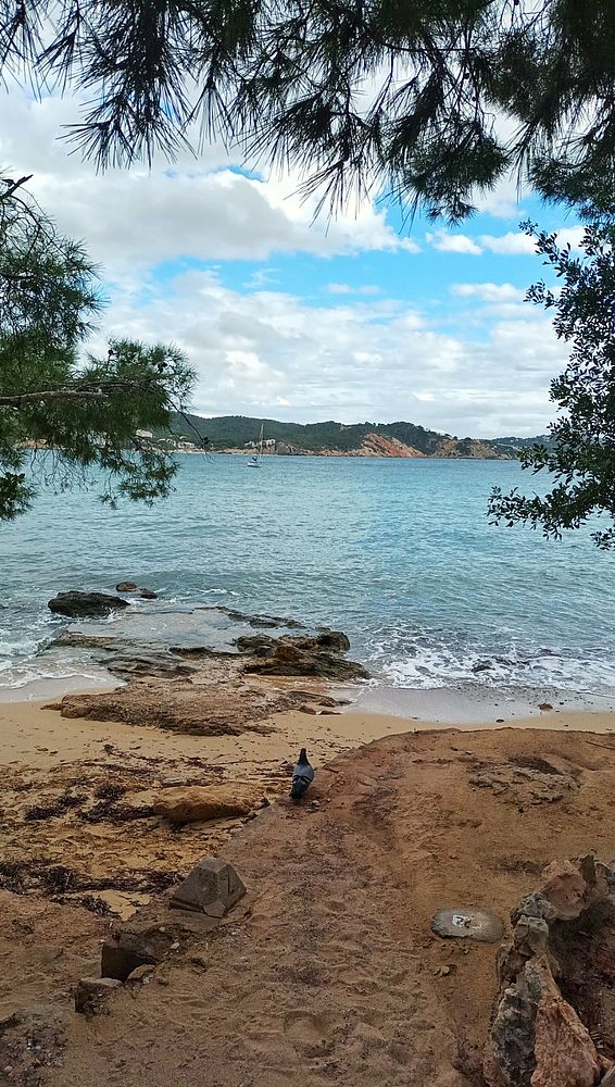 A serene beach scene featuring calm waters, rocky shores, and a cloudy sky.