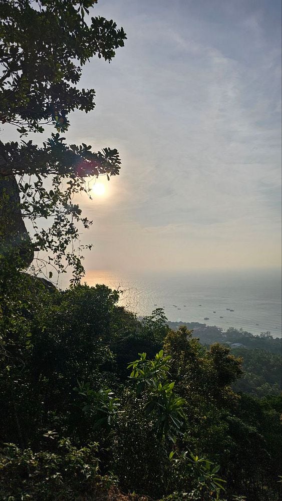 A scenic view of the ocean at sunset, framed by lush greenery.