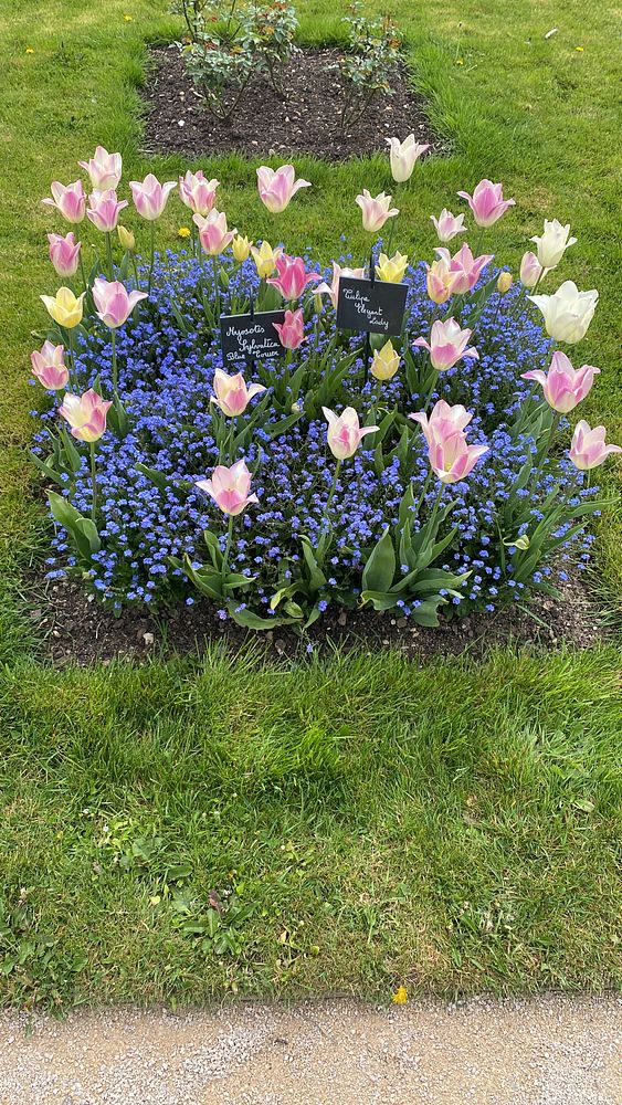 Colorful floral-themed wall art featuring various flowers, plants, and a butterfly with a lively, artistic design.