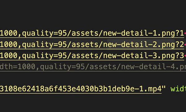 The image displays a snippet of code or text related to asset URLs and parameters.