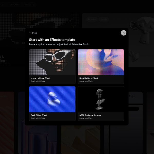 UI mockup of a modal window for selecting and previewing visual effects in a digital effects application.