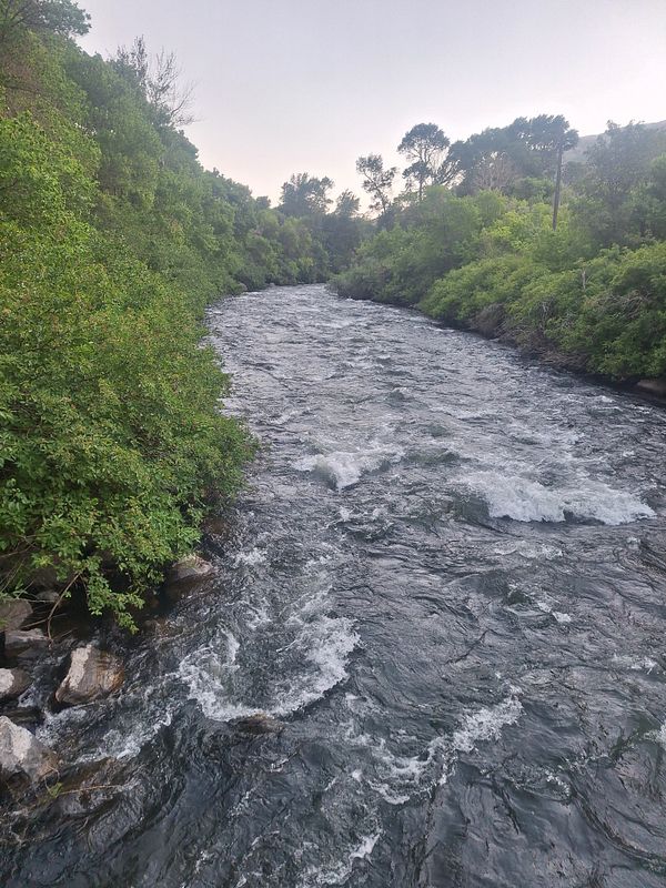 A flowing river surrounded by lush greenery in a mountainous area.