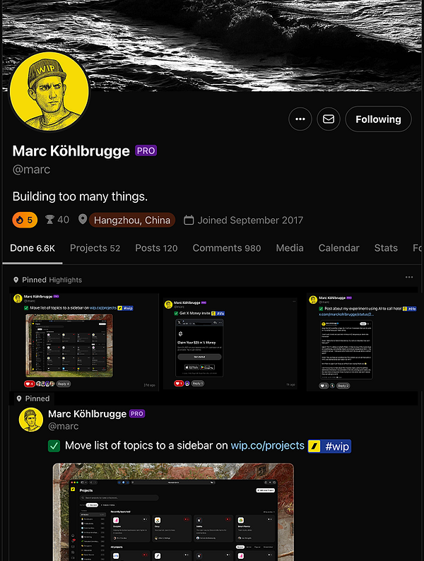 Screenshot of a mobile app interface showing pinned profile highlights within a pinned section on a WIP Profile screen.